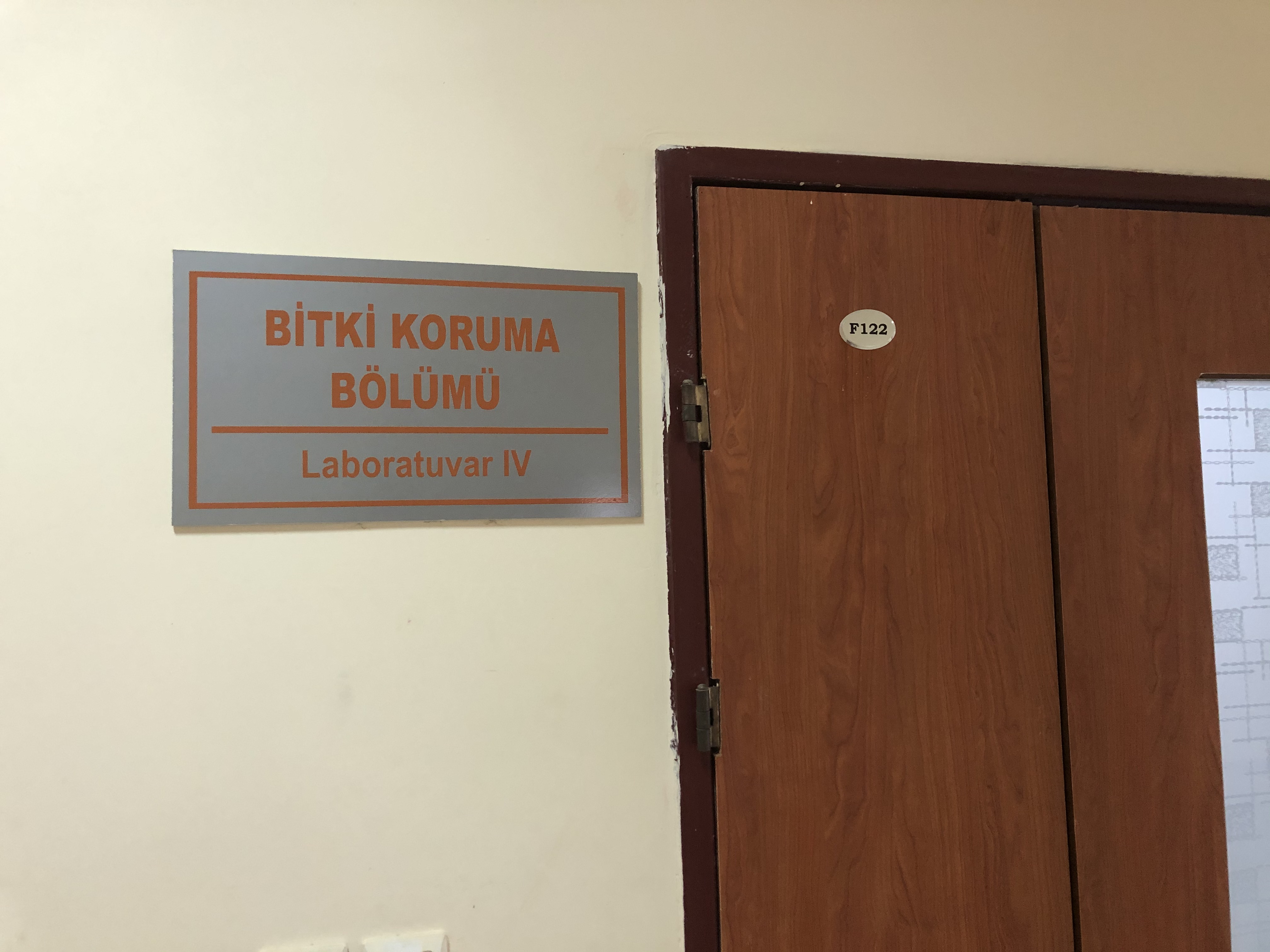 Laboratuvar4